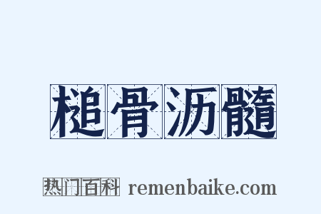 槌骨沥髓是什么意思的图片
